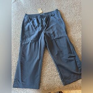 Patagonia women’s Blue Pants